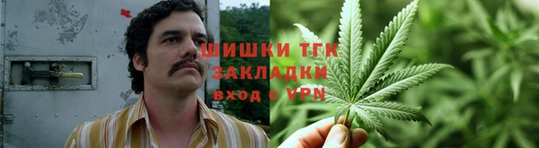 шишки Алзамай