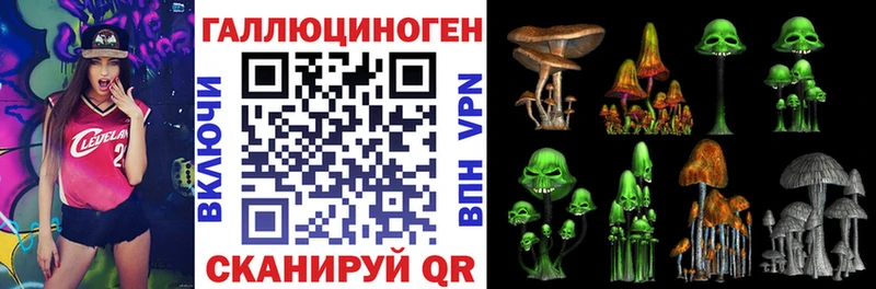 цены   Королёв  Галлюциногенные грибы прущие грибы 